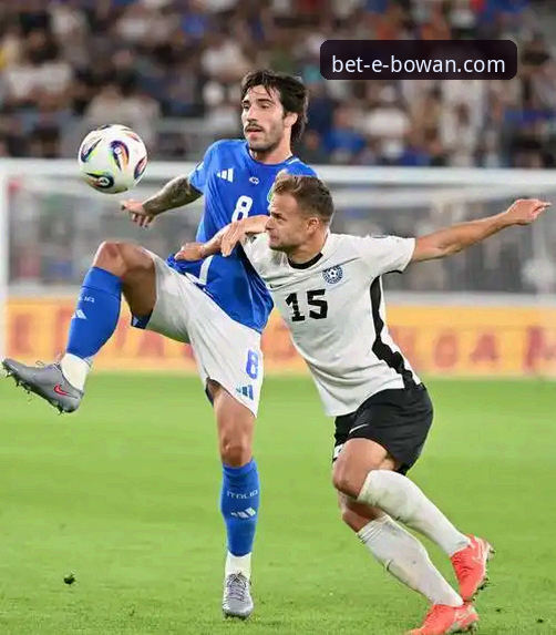 连续3次无缘世界杯！意大利足球的3大致命问题，博万体育用户深度复盘